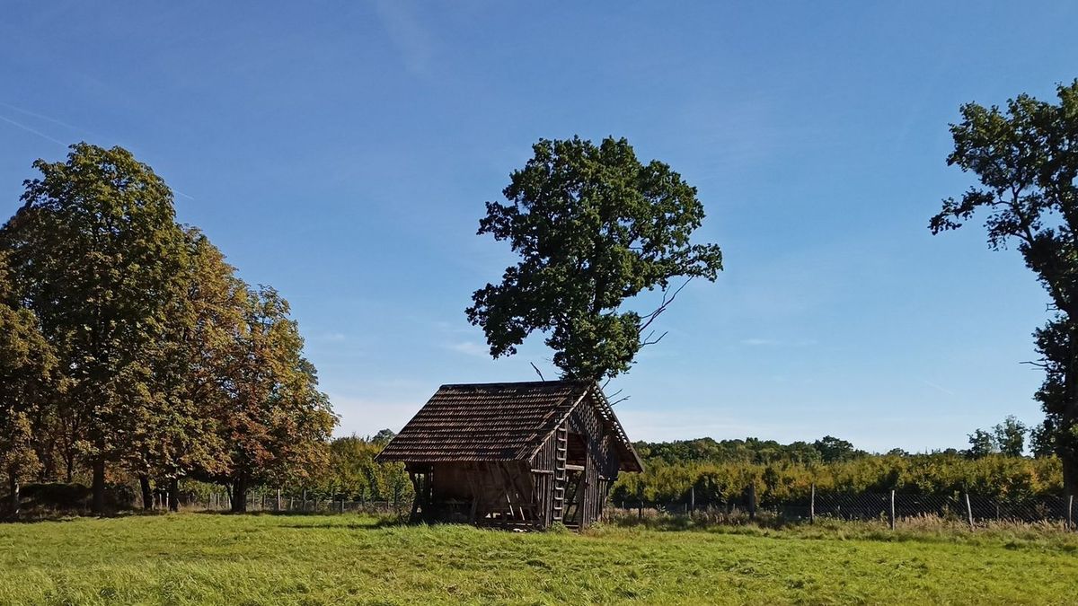 CHKO Soutok vznikla v souladu se zákony, řekli ústavní soudci